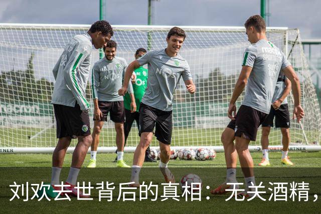 刘欢去世背后的真相：无关酒精，延误的治疗是关键