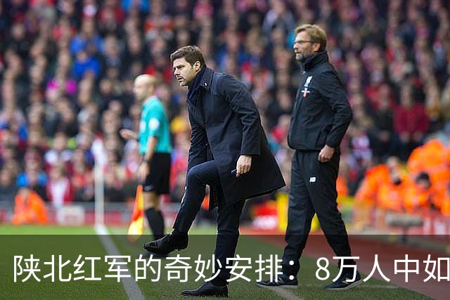 陕北红军的奇妙安排：8万人中如何应对蒋介石的算计